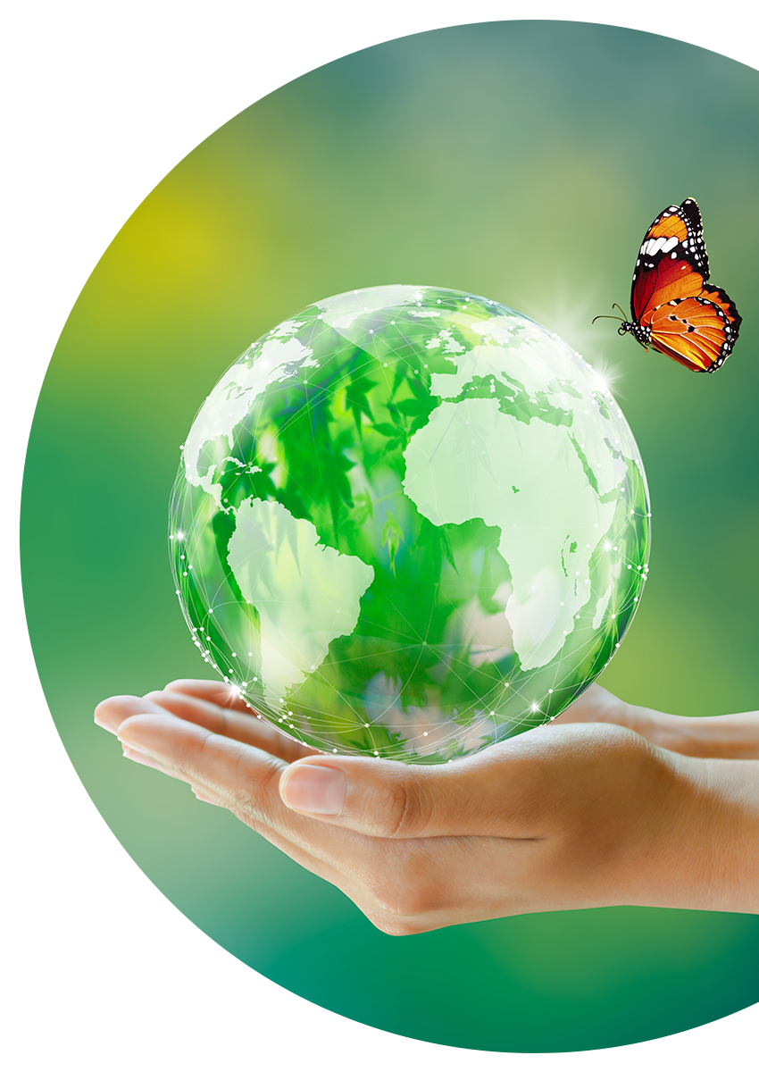 sustentabilidade-v3.png