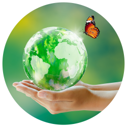 sustentabilidade-v5.png