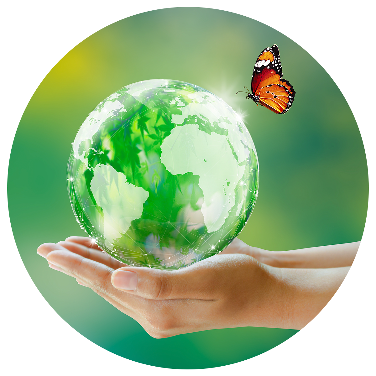 sustentabilidade-v5.png